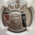 2004 W  100 American Platinum Eagle 1oz Proof Coin Ngc Pf70 Ultra Cameo