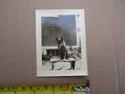 Vintage Antique German Shepherd Dog Photograph On Velox Paper Aug 12 1934