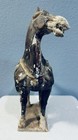 Chinese Tang Dynasty Horse Pottery Statue 11 75  Tall
