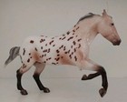 Breyer Rambler 2025 Glossy Appaloosa Collectors Club Exclusive Gamblers Choice