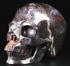 Huge 5 0  Chicken Bloodstone Carved Crystal Skull super Realistic crystal Healin
