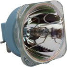 Philips Msd Platinum 11r 303628 250w Lamp     12 000 Lm  7800k  Dimmable