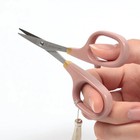 Cohana Fine Small Scissors  Lacquer Coated 2026 Spring Limited Color Cherry