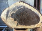 Black Walnut  live Edge   wood Slice  Table Top Round  Epoxy Pieces  thick 