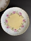 2 Antique German Porcelain Romantic Floral Cabinet Plates Cottagecore Wall Plate
