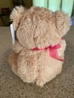 Teddy Bear Stuffed Animal Valentines Plush Toy Holding Sequin Heart Light Brown