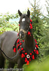 Arabian Wool Breast Collar  Halter   Lead  Saddle Tack 