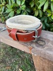 Leaders Leather Hobbles With Chain For Horse equine  High Quality 