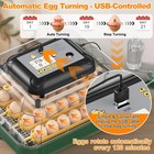 Maticoopx 30 Egg Incubator With Humidity Display  Egg Candler  Automatic Egg Tur