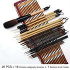 20 Pcs Writing Brush Set - Chinese Calligraphy Brushes With Kanji  Japanese S   