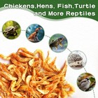 5lbs Dried River Shrimp High Protein Freeze Red Dried Shrimp For Chickens birds