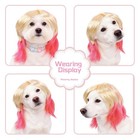 Pet Bob Wig Two Tone Hairpiece For Cats Dogs Costume Christmas Party