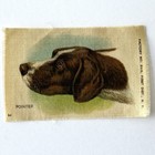 Lot Of 8 Antique Zira Tobacco Silks American Girl Hupa Indian Queens Birds