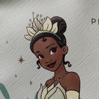 Disney Princess Cosmetic Bag