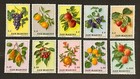 Travelstamps  1973 San Marino Stamps Scott  804-813    fruits    Mint Mnh Og