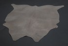 100  New Cowhide Rugs Area Cow Skin Leather  42  X 44   Cow Hide Sa-5567