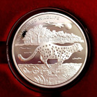 Congo 10 Franc Cheetah 2007 Silver