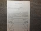 Antique 1881 Cattle Bill Of Sale With  Figures To Show Brands And Ear Markings