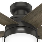 Hunter Fan 52 In Low Profile Noble Bronze Ceiling Fan With Light And Pull Chain