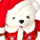 Dandee  Christmas Teddy Bear Snowflake Friends Plush Sweater Hat 2005 15   