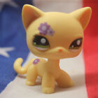 8pcs lot Littlest Pet Shop Toys Lps Random Short Hair Cat Animal Figures New