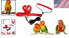 Comfortable Adjustable Harness For Small Birds - 80-inch Leash Included  Xs Red