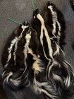 Skunk Fur  Soft Tanned Pelt   1 Quality  Sm-l Sizes  Crafts  Leather  Sewing