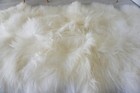 Genuine Quad  4skin  Icelandic Sheepskin Rug Cream White Color Soft Long Wool Us