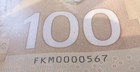 100 Dollar Polamar Bill Low Serial Number That Ends With Consecutive Numbers