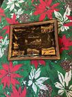 Vintage California Palm Springs Glass Tray Souvenir