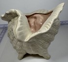 Large Vintage Atlantic Mold Ceramic Conch Sea Shell Planter Beach Decor Read