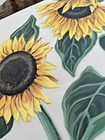 Rub On Transfers - Sunflowers  Wall   Furniture - 7 Sheets  24  X 10  Nip