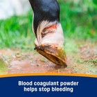 Farnam Wonder Dust Wound Powder  Blood Coagulant For Horses And Show Stock  For