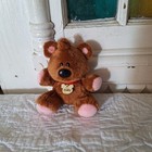 Ty Original Qbeanie Baby Buddy Pooky Teddy Bear Plush Garfield The Move Collar 