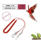 Bird Harness Leash Anti-bite Outdoor Red Flying Training Rope With 5pcs Diffe   