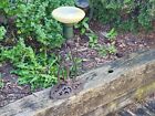 Cast Iron Base Table Lamp Ornate Vtg Antique Glass Shade No Electric Part Repair