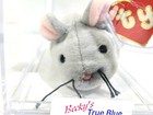 Ty Beanie Baby Rare 2nd 1st Gen Trap Tbb Authenticated Mwct