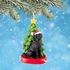 Holiday Dog With Tree Ornament Gold Star Decorative Hanging Ornaments