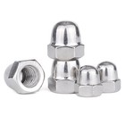 Acorn Hex Dome Cap Nuts Metric A2 Stainless Steel Npt  6  8  10 Inch 1 4 1 2 3 8