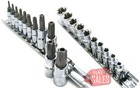 21 Pc Bits E-torx  star  5 Point Male 6 Point Female Socket Bit Set   Rails New 