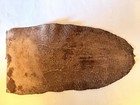 Tanned Beaver Tail Skin Hide Leather Craft 9    X 5   