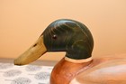 Tom Taber Woodendare Mallard Drake Duck Decoy Rare 1989 - 1990 Season