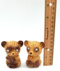 Salt Pepper Shakers Teddy Bear Cub Googly Eye Vintage Japan Set Cute 2 75 Inches