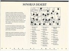 10 Sonoran Desert Stamps  Saguaro Cactus  Gila Monster Lizard  Tortoise  Mexico