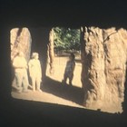 8mm Home Movie California 1965 Giant Sequoia San Francisco 2 Minutes Disneyland