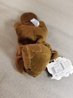 Bean Sprouts Bucky The Beaver Plush Bean Bag Stuffed Animal Brown Nwt 10 