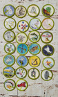 Bsa Boy Scout Merit Badges  Pre-owned