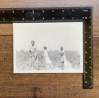 Cotton Field African American Kids Working In The Fields Original Vintage Photo