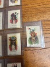 Lot  17  C  1910 Tobacco Silks Indian Native Americans Tokio Cigarettes