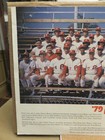 1979 Philadelphia Phillies Team Photo Print  double-sided 